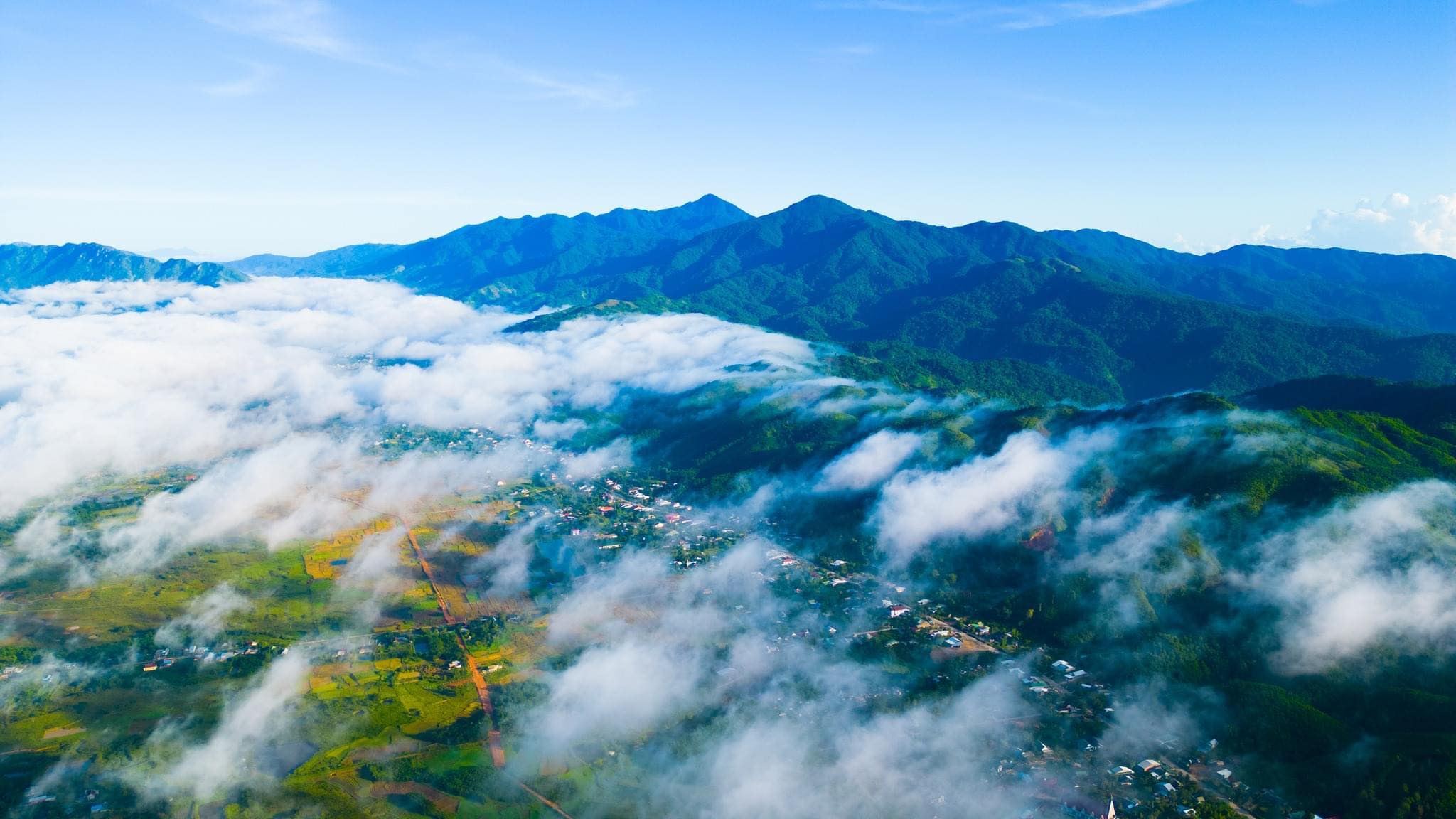 Câu chuyện về ALUFA